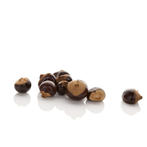 Guarana - Paullinia cupana - noten Herborist - 2