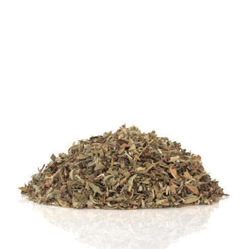 Damiana - Turnera diffusa Herborist - 2