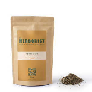 Yerba maté - Ilex paraguariensis