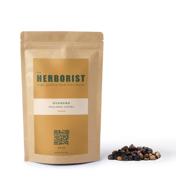 Guarana - Paullinia cupana - noten Herborist - 1 Guarana - Paullinia cupana - noten Herborist - 1