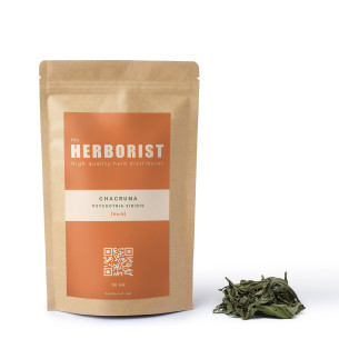 Chacruna - Psychotria viridis Herborist - 1