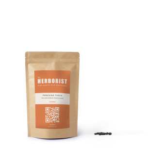 Peruvian Torch - Trichocereus peruvianus