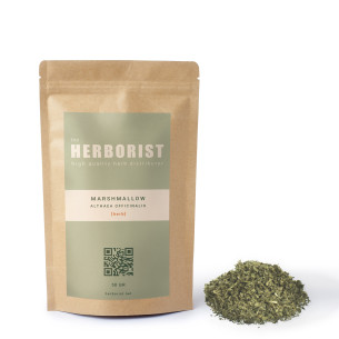 Marshmallow - Althaea officinalis