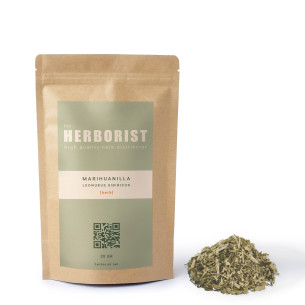 Marihuanilla - Leonurus sibiricus