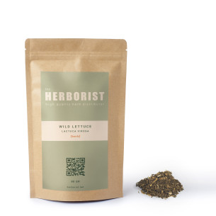 Wild lettuce - Lactuca virosa