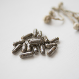 Kit de microdose Ultime pour cubensis
