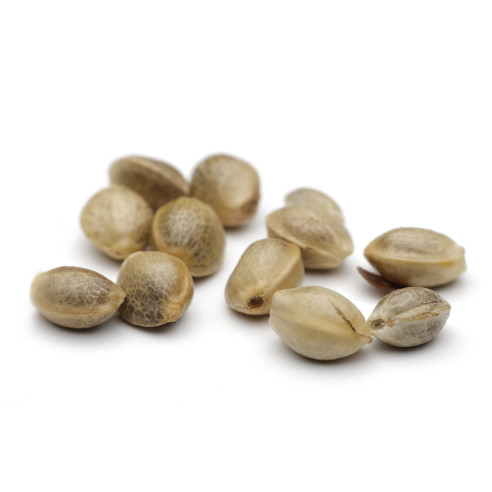 Just Seeds - 6 strains - 18 seeds value pack JustSeeds - 7