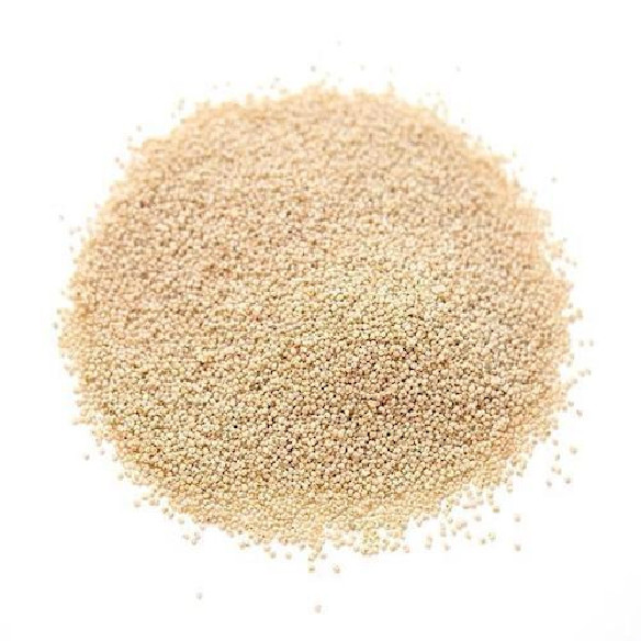 Opium Poppy (Papaver somniferum) seeds Opium Poppy (Papaver somniferum) seeds