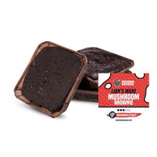 Lion's Mane Mushroom Brownie