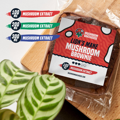 Lion's Mane Mushroom Brownie