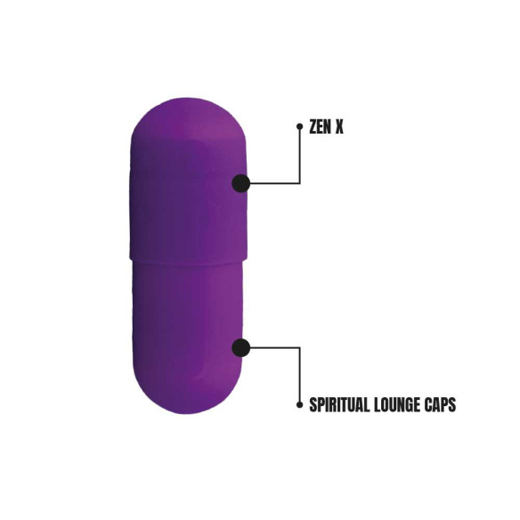 ZenX - DNX  - 2 ZenX - DNX  - 2