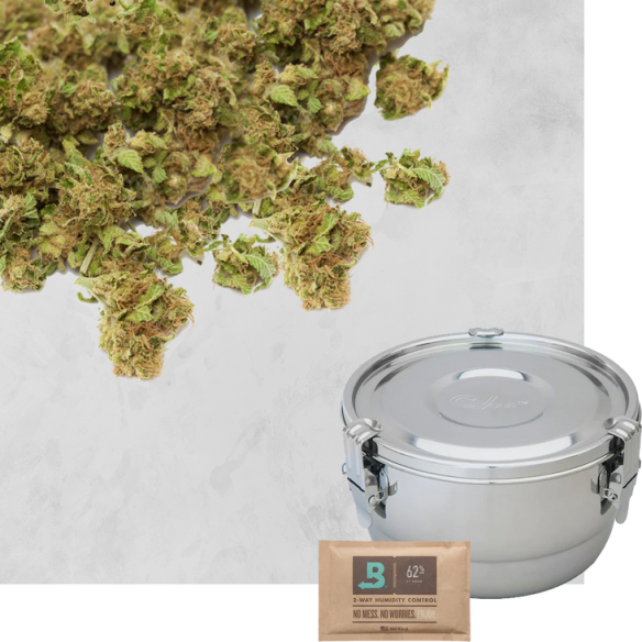 CVAULT Pro 2L  - 1 CVAULT Pro 2L  - 1