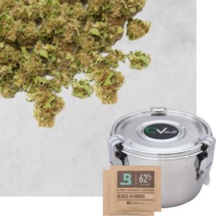 CVAULT Personal 0.95L - Large  - 1