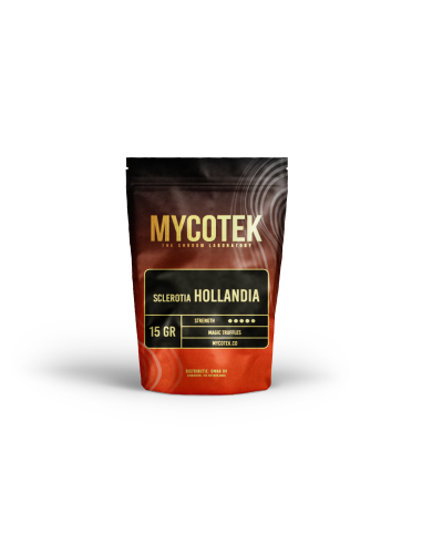 Magic Truffles - Psilocybe HOLLANDIA - Mycotek