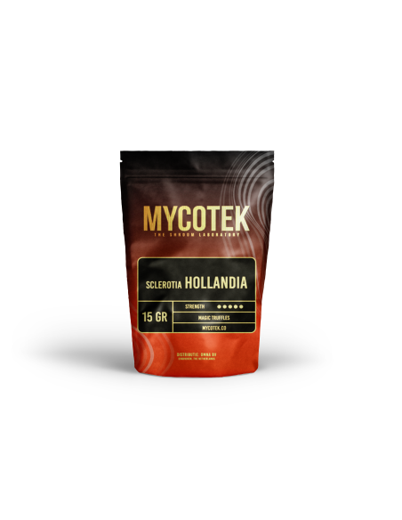 Magic Truffles - Psilocybe HOLLANDIA - Mycotek