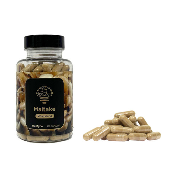 McMyco Maitake  - 2 McMyco Maitake  - 2