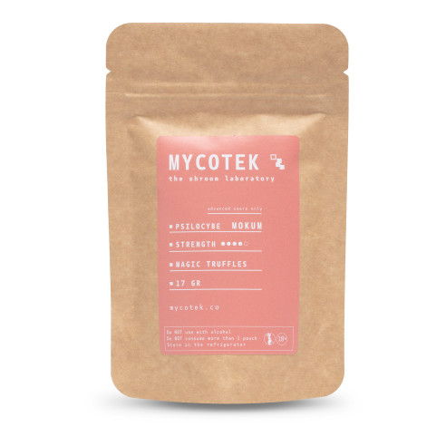 Funghi Allucinogeni - Psilocybe MOKUM - Mycotek Mycotek - 2