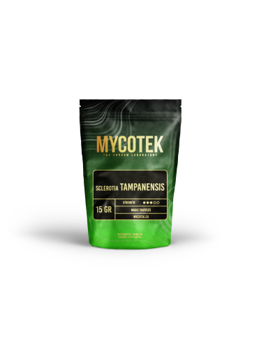 Magic Truffles - Psilocybe TAMPANENSIS - Mycotek