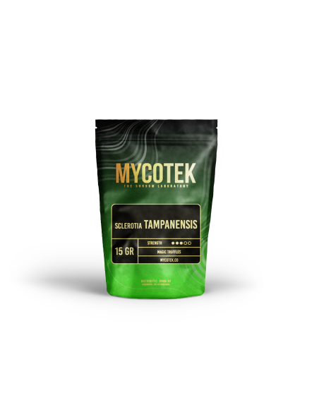 Magic Truffles - Psilocybe TAMPANENSIS - Mycotek