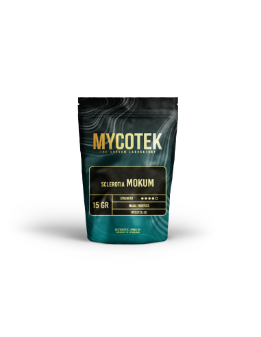 Magic Truffles - Psilocybe MOKUM - Mycotek