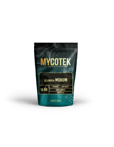 Magic Truffles - Psilocybe MOKUM - Mycotek