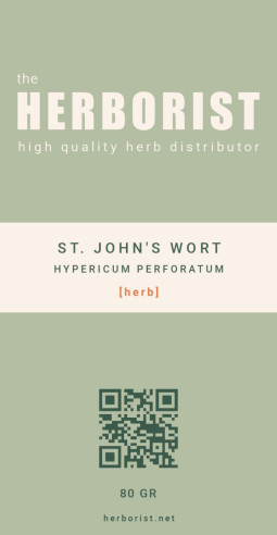 St. John's Wort (Hypericum perforatum)  - 2