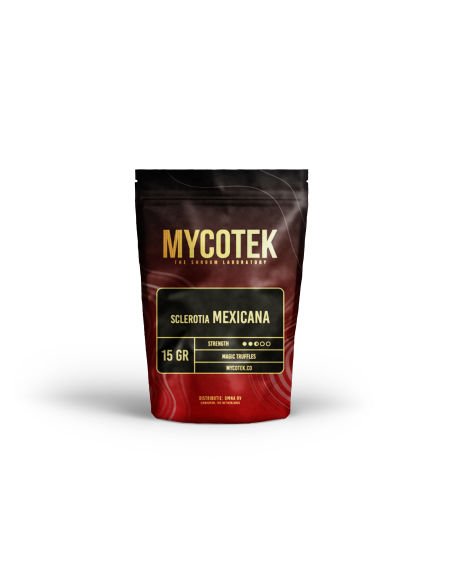 Magic Truffles - Psilocybe MEXICANA - Mycotek