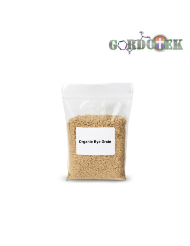 Organic Rye Grain – 250ml Sterile Spawn Bag – GordoTEK