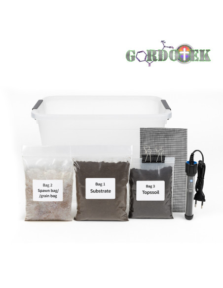 All in One Kit - Natalensis Spawn - Gordo Isolation - Innoculated & Colonized - GordoTEK