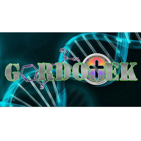 GordoTEK - All in One Kit -  TTBVI Spawn - Gordo Isolation- Innoculated & Colonized  - 1