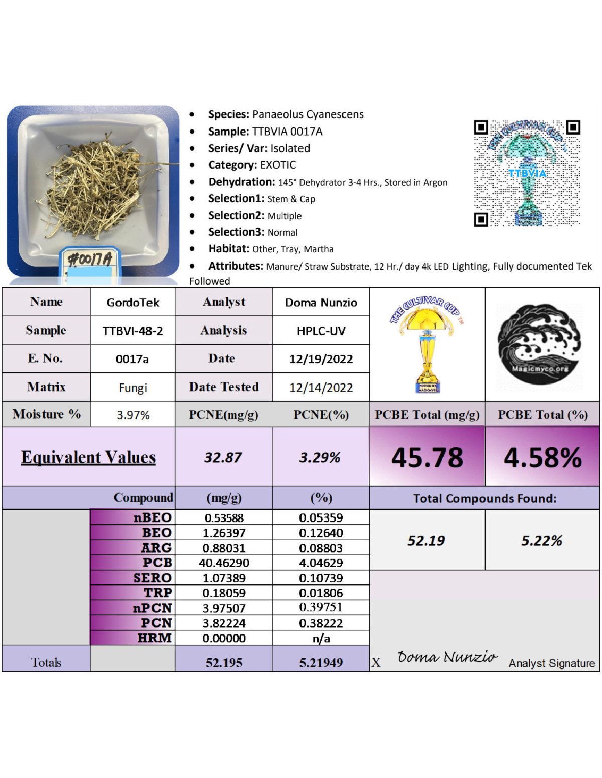 GordoTEK - All in One Kit - TTBVI Spawn - Gordo Isolation- Innoculated & Colonized