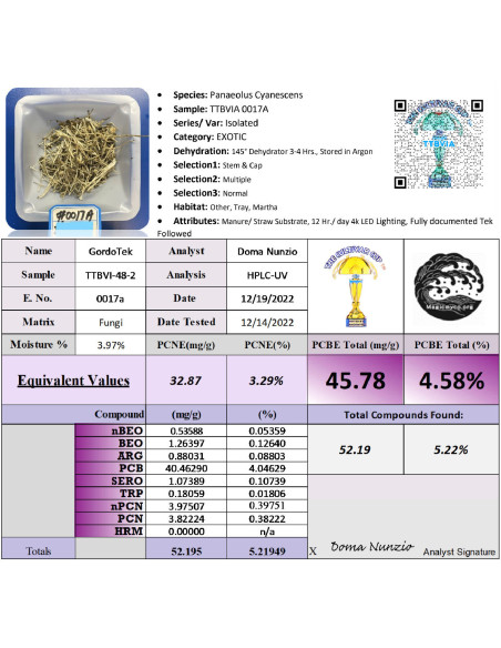 GordoTEK - All in One Kit - TTBVI Spawn - Gordo Isolation- Innoculated & Colonized