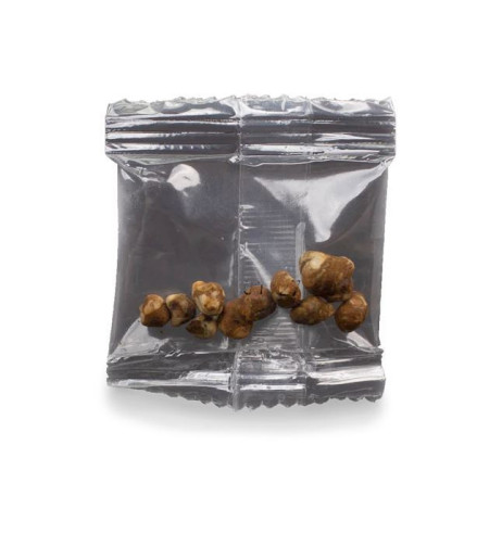 Microdosing truffles Atlantis  - 3