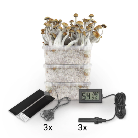 Deluxe Winter Pack 3 growboxes  - 1 Deluxe Winter Pack 3 growboxes  - 1