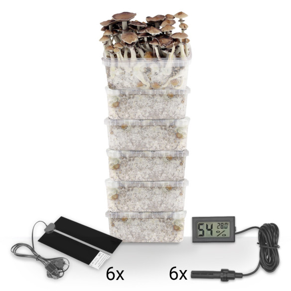 Deluxe Winter Pack 6 growboxes  - 1 Deluxe Winter Pack 6 growboxes  - 1