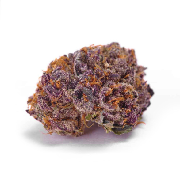 Just Seeds - Purple Kush [FEM] JustSeeds - 1