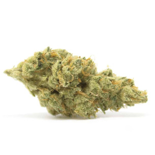 Just Seeds - SAPAROT SKUNK [AUTO] JustSeeds - 1