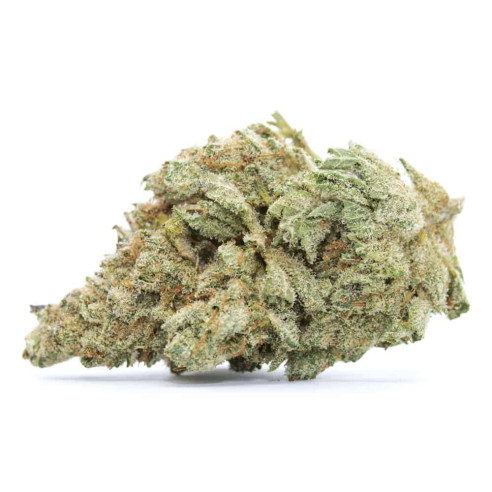 Just Seeds - WHITE WIDOW [FEM]  - 1