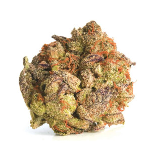 Just Seeds - Bubblegum XXL Extra [FEM] JustSeeds - 1