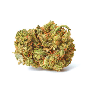 Just Seeds - Amnesia Lemon [AUTO] JustSeeds - 1