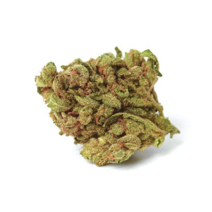 Just Seeds - BLUEBERRY [AUTO] JustSeeds - 1