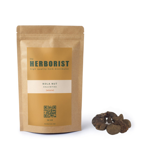 Kola nut (Cola nitida) whole  - 2