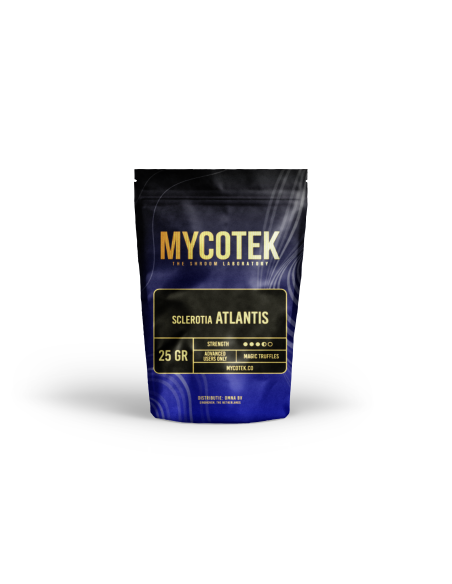 Magic Truffles - Psilocybe ATLANTIS - Mycotek