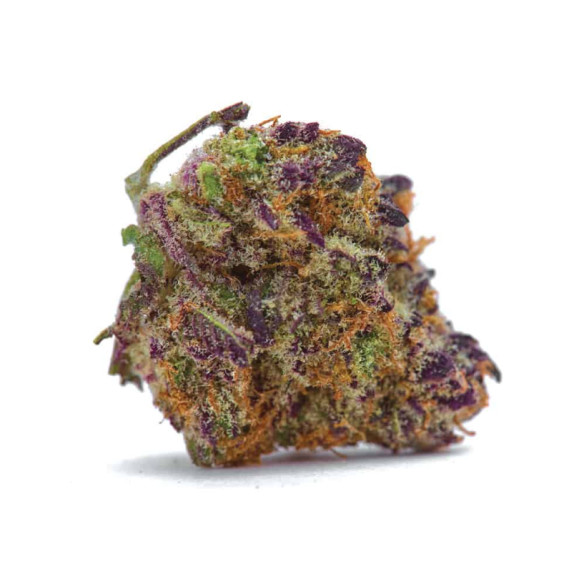 Just Seeds - Purple Kush [AUTO] JustSeeds - 1