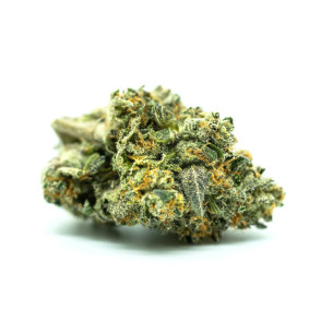 Just Seeds - Watermelon Zkittlez [AUTO] JustSeeds - 1