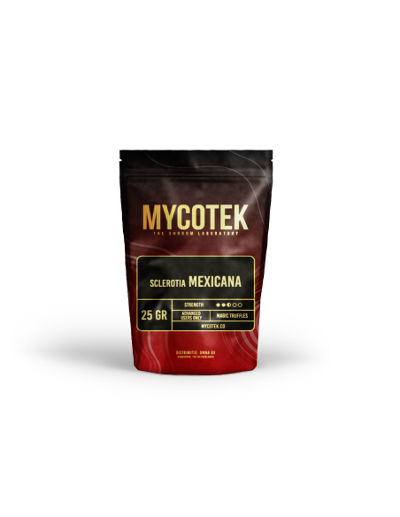 Magic Truffles - Psilocybe MEXICANA - Mycotek