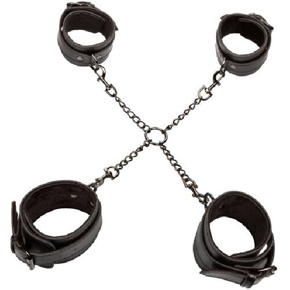 CALEXOTICS - EUPHORIA HOG TIE  - 6