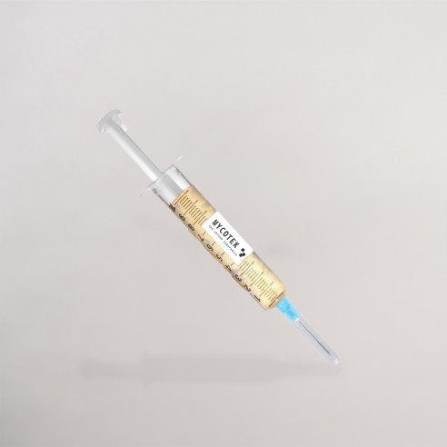 Psilocybe Cubensis - Albino Treasure Coast - Mycotek Liquid Culture Syringe  - 1