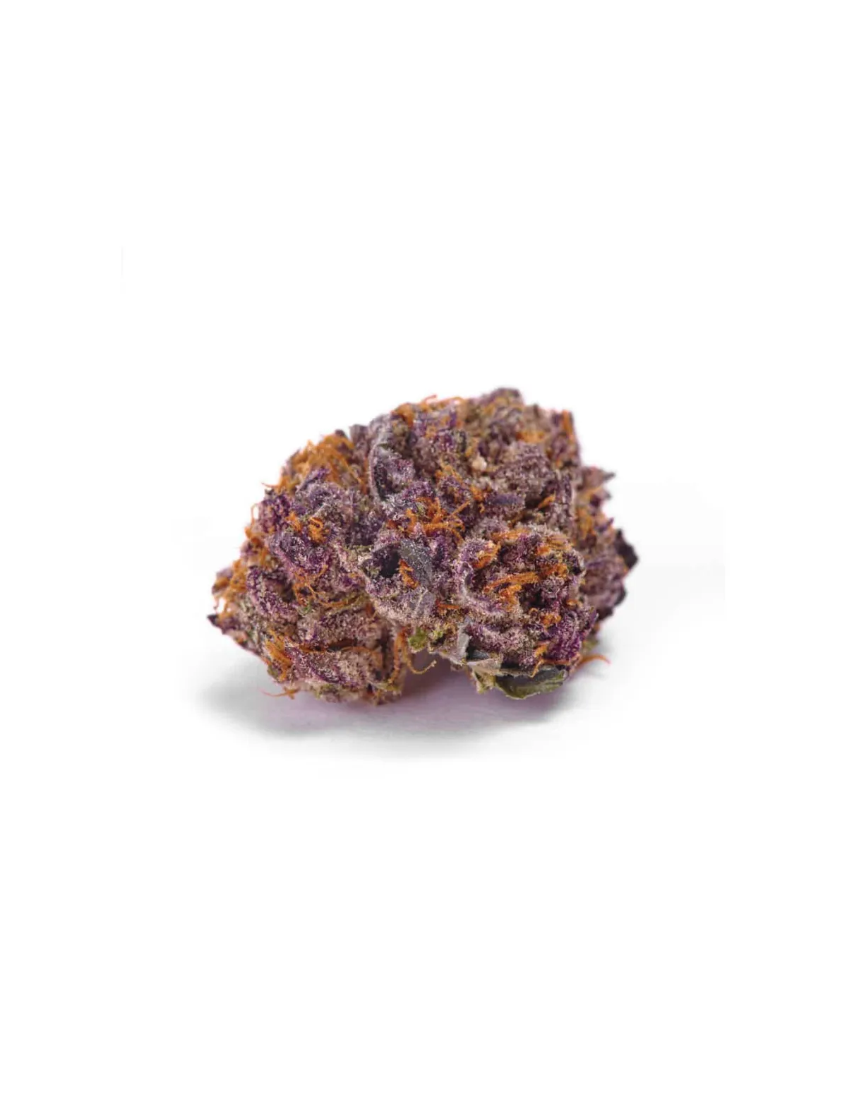 Just Seeds - Purple Kush [FEM]