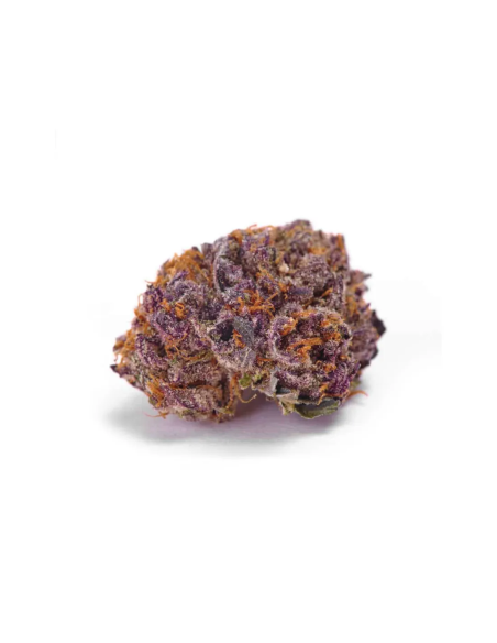 Just Seeds - Purple Kush [FEM]